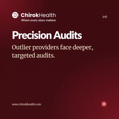 Precision Audits