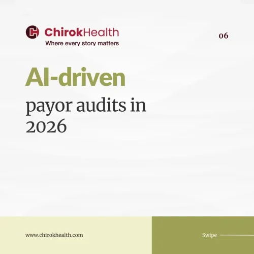 payer ai audits